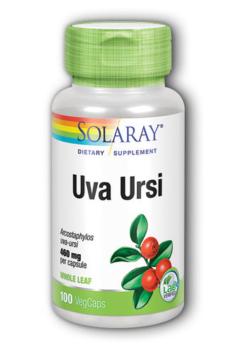 Uva Ursi