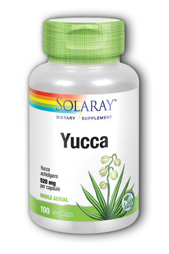 Yucca